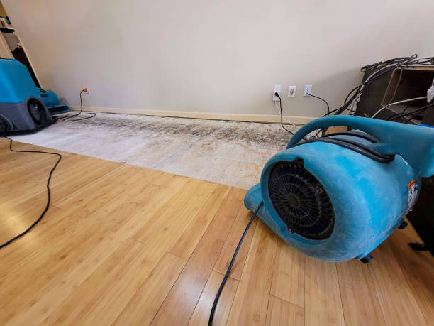 Professional Sewage Cleanup technician working in Hesperia, MI